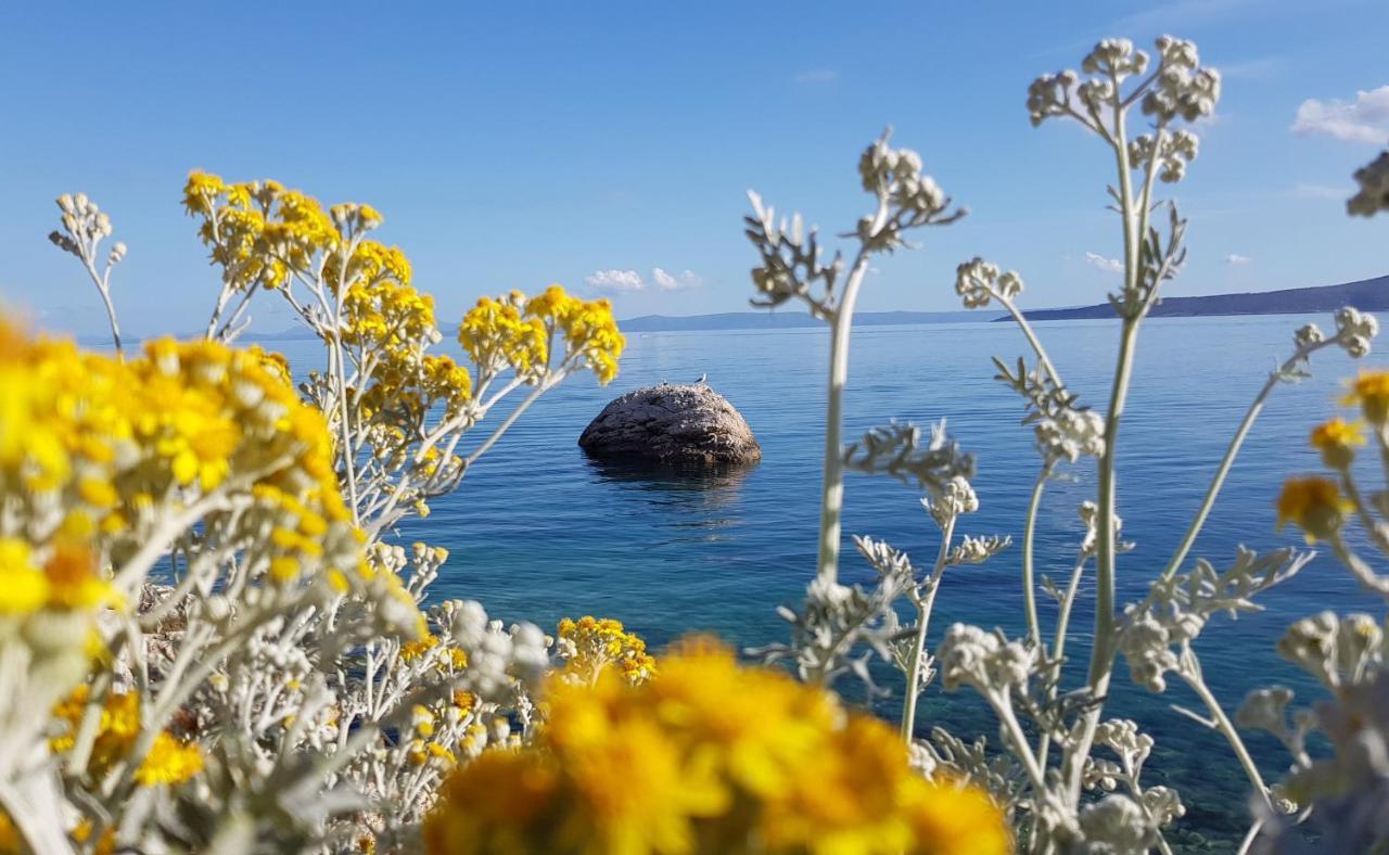 Villa Skalinada With Sea View Брела Экстерьер фото